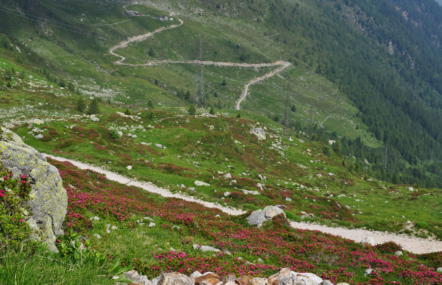 Passo Dordona